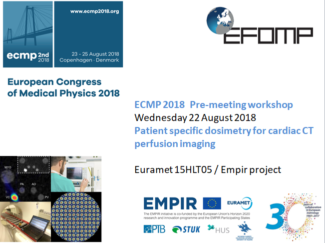 Workshop on patient specific dosimetry for cardiac CT perfusion imaging