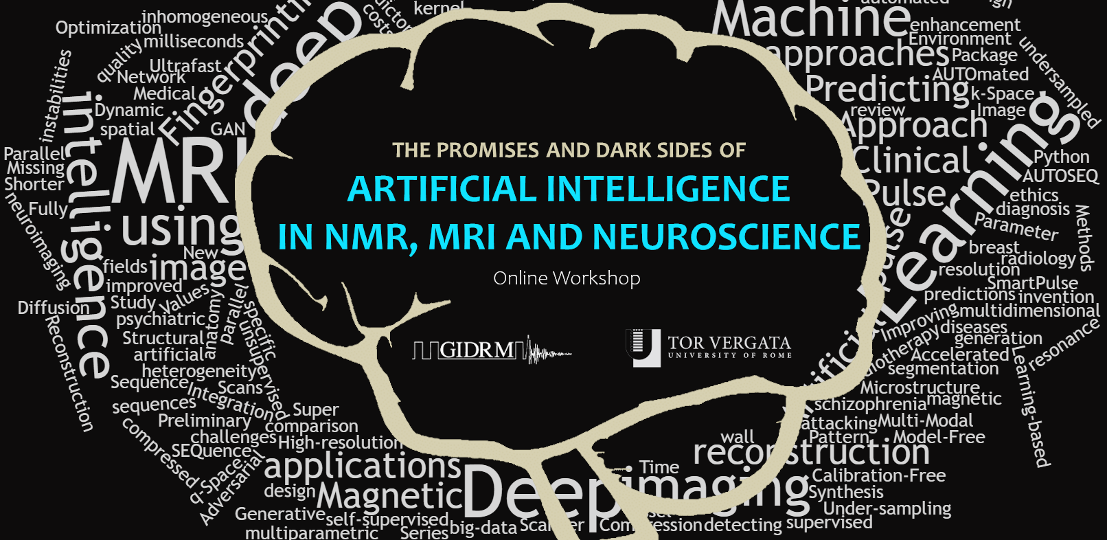 The promises and Dark Sides of Artificial Intelligence in NMR, MRI and Neuroscience