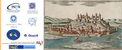 VIII International Geant4 School 